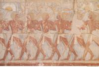 Photo Texture of Hatshepsut 0001